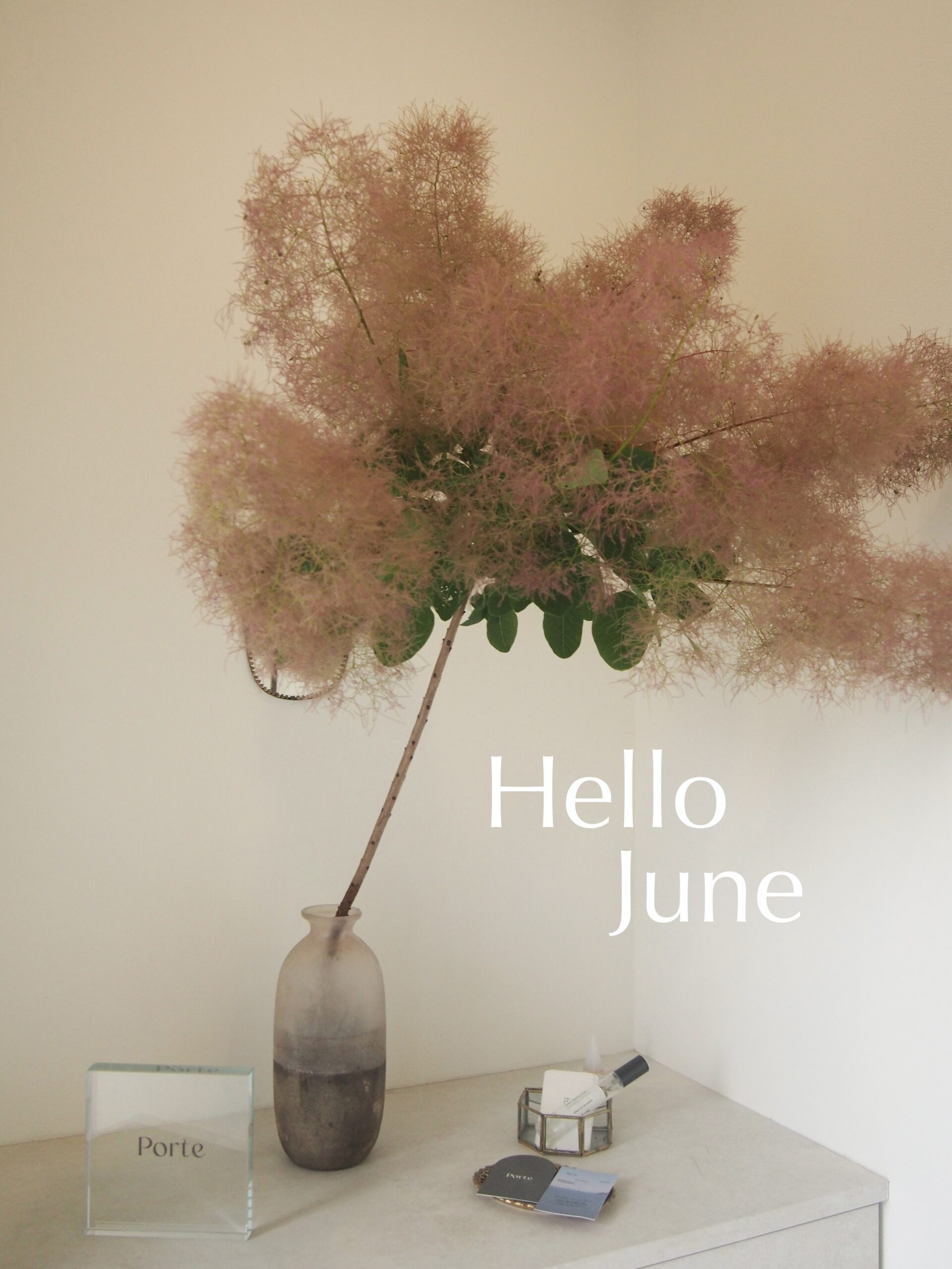 6月start！