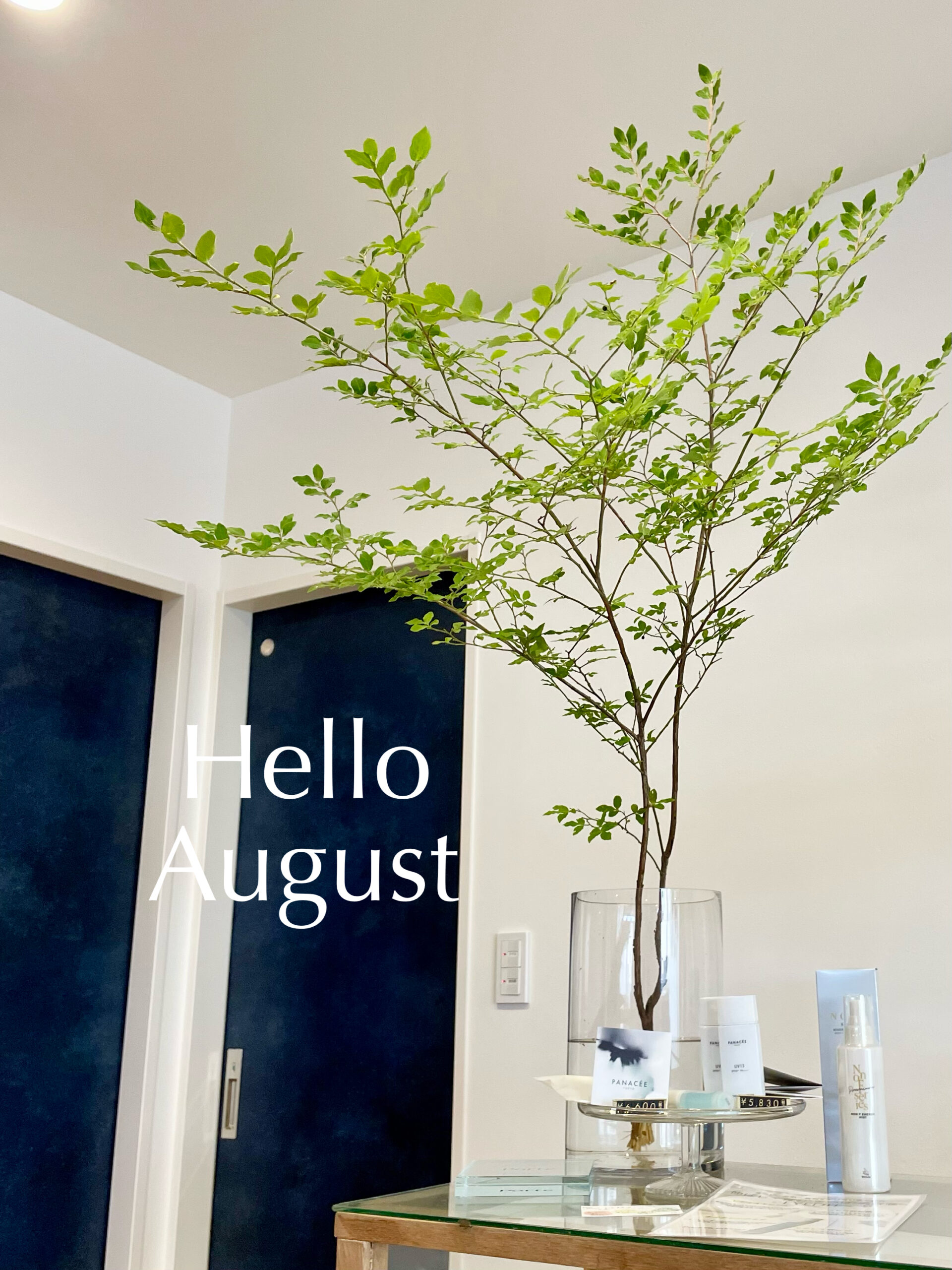 Hello August