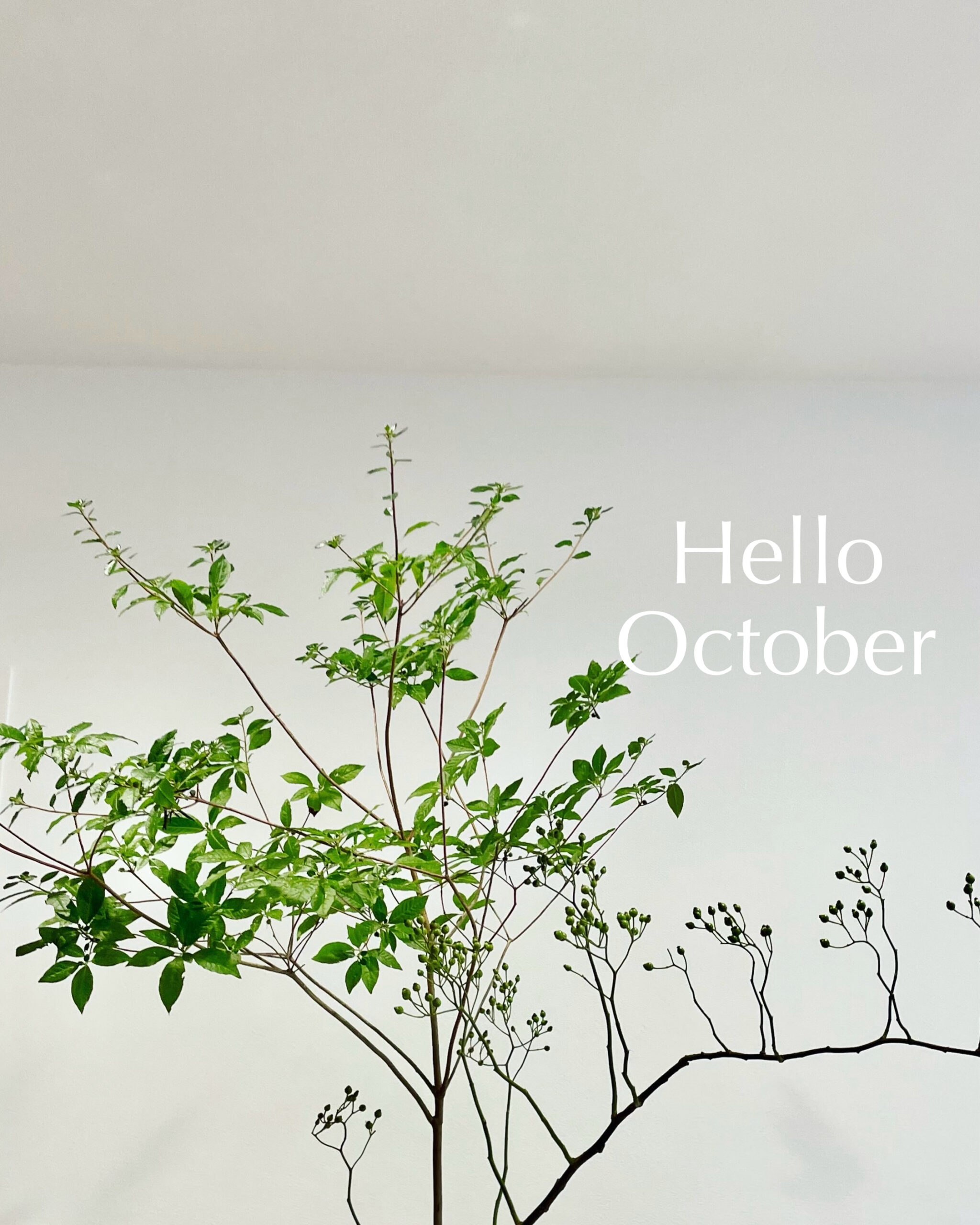 Hello October
